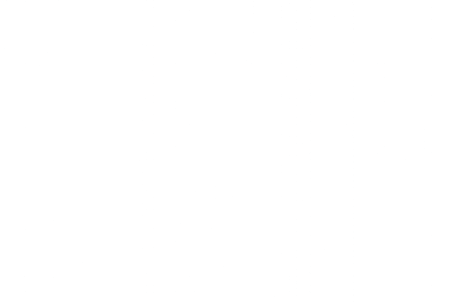 company log